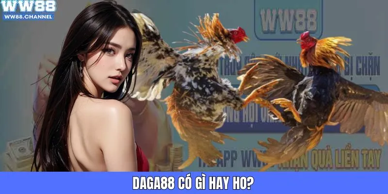 Đá gà 88 có gì hay ho?
