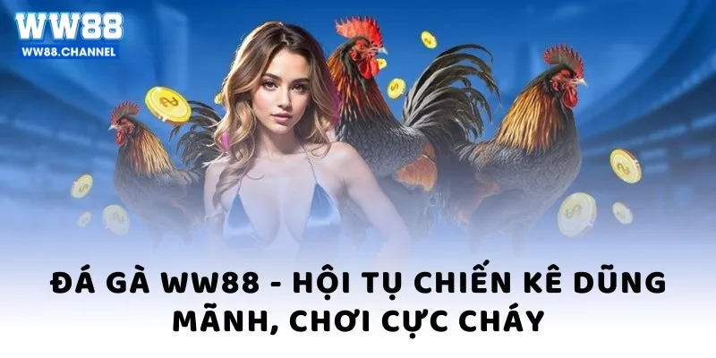 Đá gà WW88 hội tụ chiến kê dũng mãnh