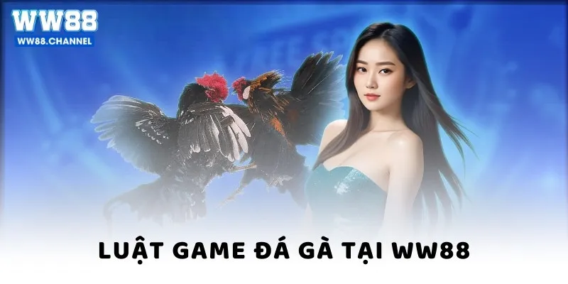 Luật game Đá gà tại WW88