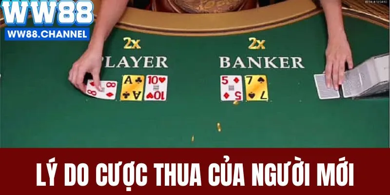 Những lý do cược thua tại người mới