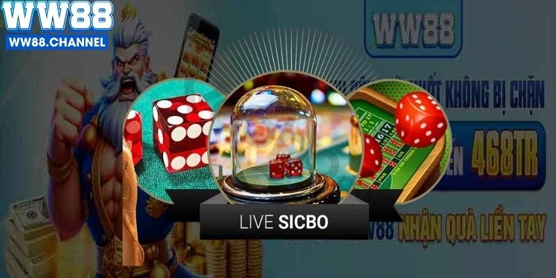 Livestream chân thực, lắc xúc xắc cùng Dealer nóng bỏng