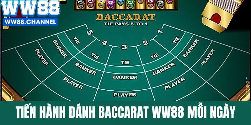 Tiến hành đánh Baccarat WW88 mỗi ngày