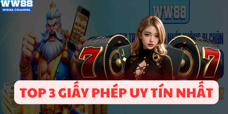 Top 3 giấy phép uy tín nhất