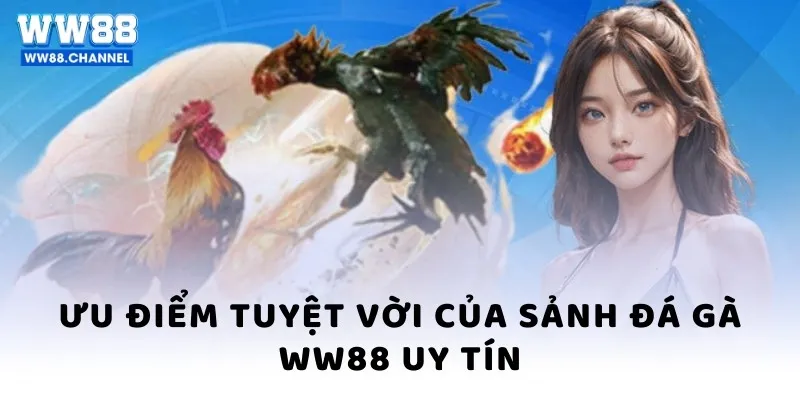 Ưu điểm tuyệt vời của sảnh Đá gà WW88 uy tín